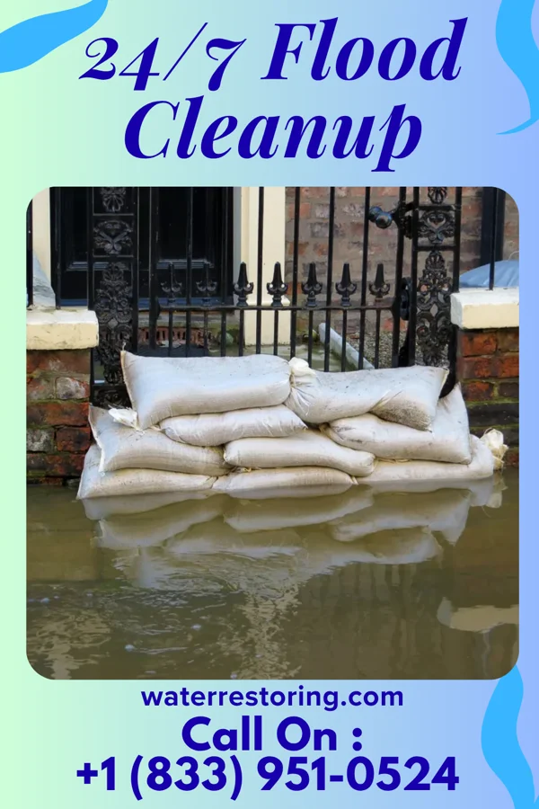 24/7 Flood Cleanup in Medora, IL