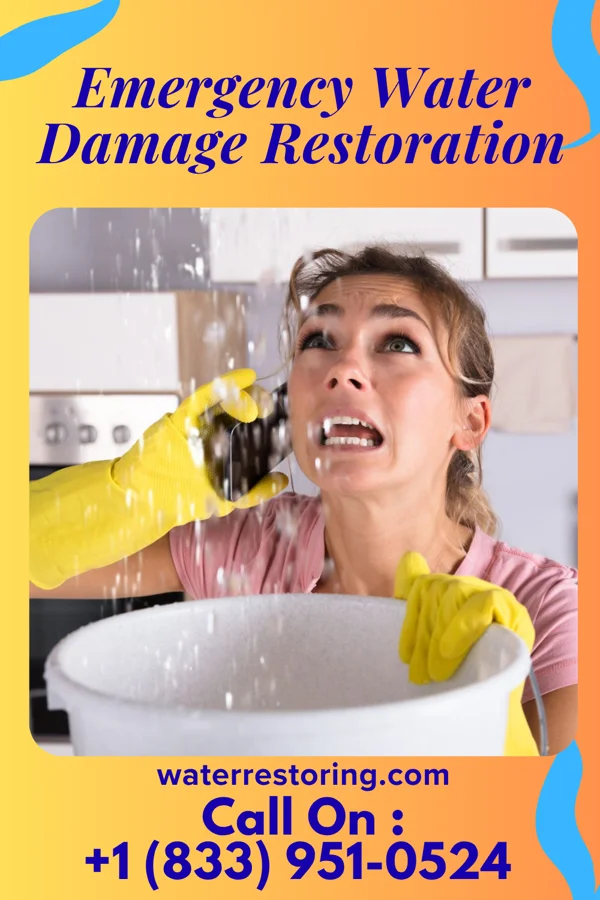 Emergency Water Damage Restoration in Medora, IL