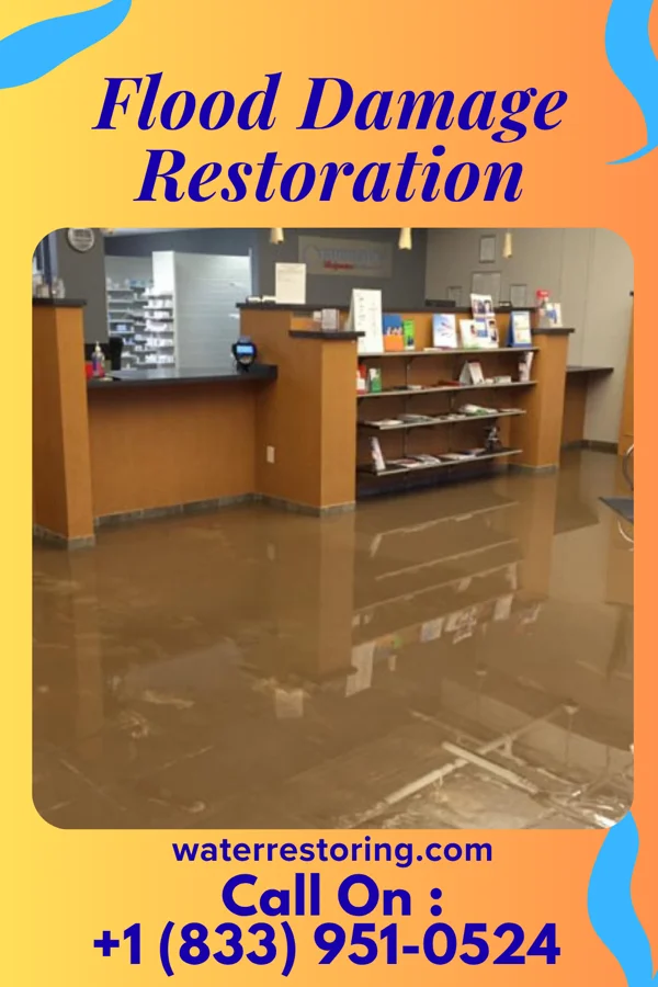 Flood Damage Restoration in Medora, IL
