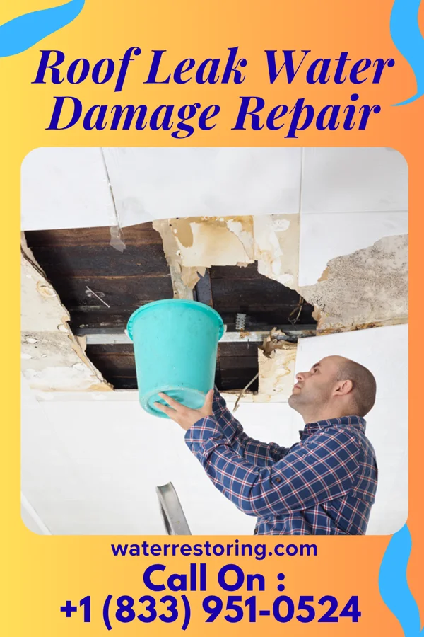 Roof Leak Water Damage Repair in Medora, IL